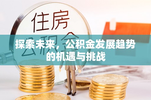 湛江探索未来，公积金发展趋势的机遇与挑战