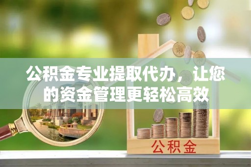 湛江公积金专业提取代办，让您的资金管理更轻松高效