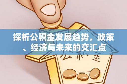 湛江探析公积金发展趋势，政策、经济与未来的交汇点