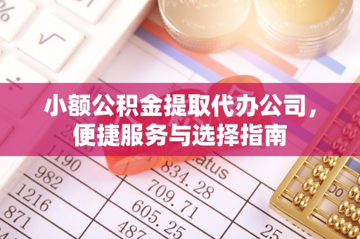 湛江小额公积金提取代办公司，便捷服务与选择指南