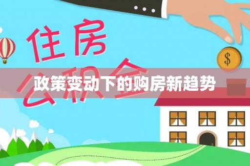 湛江政策变动下的购房新趋势