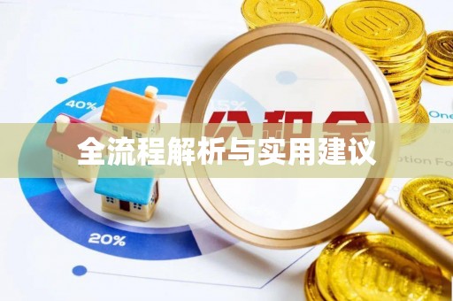 湛江全流程解析与实用建议
