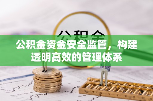 湛江公积金资金安全监管，构建透明高效的管理体系