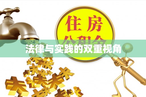 湛江法律与实践的双重视角