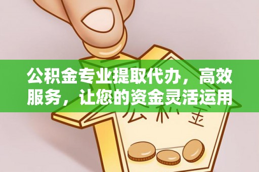 湛江公积金专业提取代办，高效服务，让您的资金灵活运用