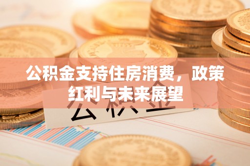 湛江公积金支持住房消费，政策红利与未来展望