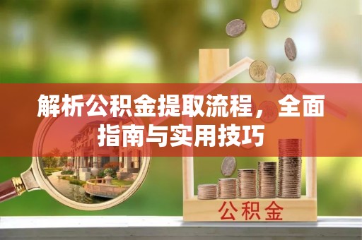 湛江解析公积金提取流程，全面指南与实用技巧