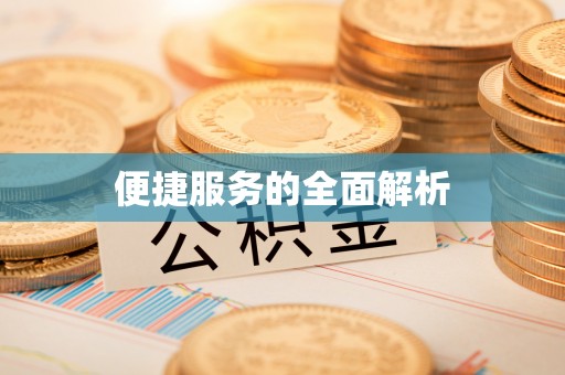 湛江便捷服务的全面解析