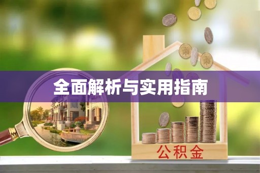 湛江全面解析与实用指南