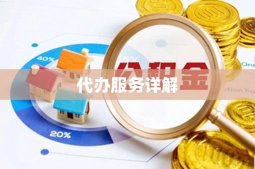 湛江代办服务详解