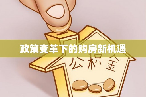湛江政策变革下的购房新机遇