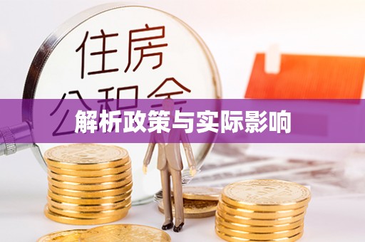 湛江解析政策与实际影响