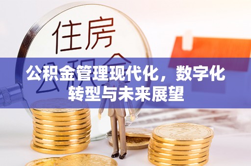 湛江公积金管理现代化，数字化转型与未来展望