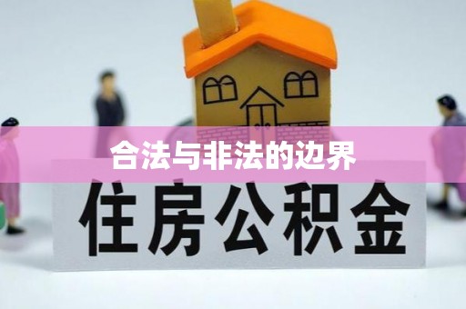 湛江合法与非法的边界