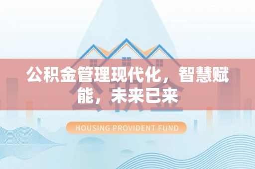 湛江公积金管理现代化，智慧赋能，未来已来