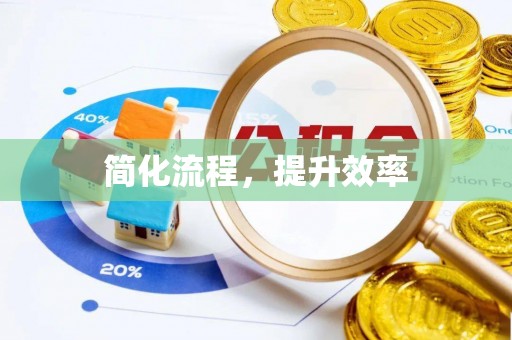 湛江简化流程，提升效率