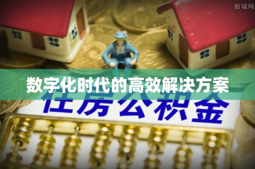 湛江数字化时代的高效解决方案