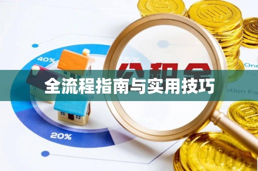 湛江全流程指南与实用技巧