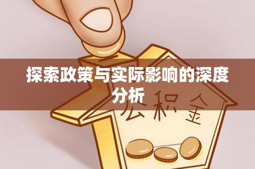 湛江探索政策与实际影响的深度分析