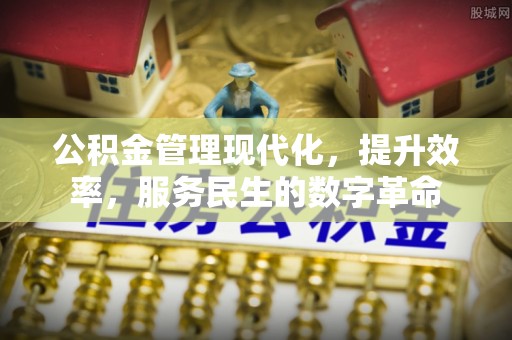 湛江公积金管理现代化，提升效率，服务民生的数字革命