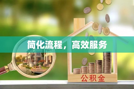 湛江简化流程，高效服务