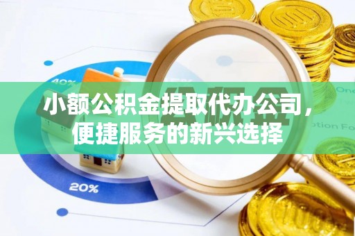 湛江小额公积金提取代办公司，便捷服务的新兴选择