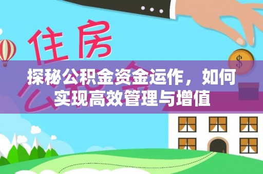 湛江探秘公积金资金运作，如何实现高效管理与增值