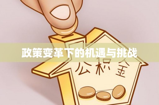湛江政策变革下的机遇与挑战