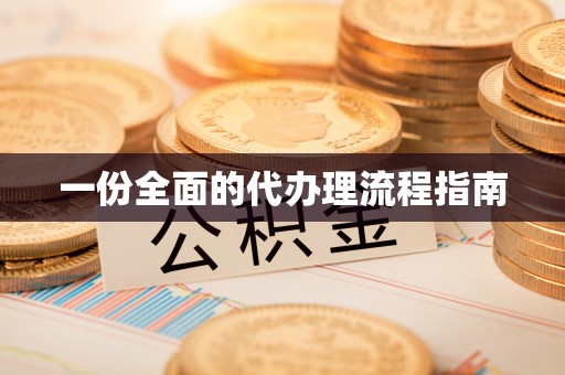 湛江一份全面的代办理流程指南