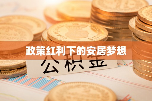 湛江政策红利下的安居梦想