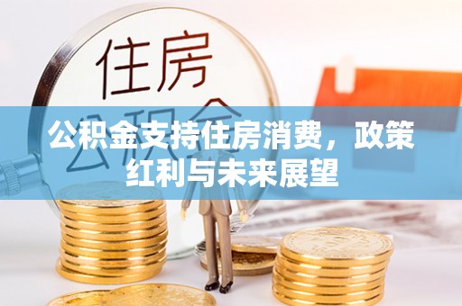 湛江公积金支持住房消费，政策红利与未来展望