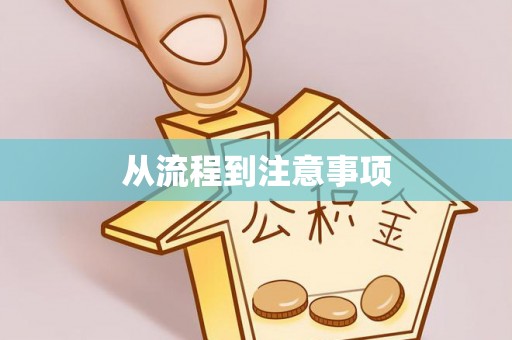湛江从流程到注意事项