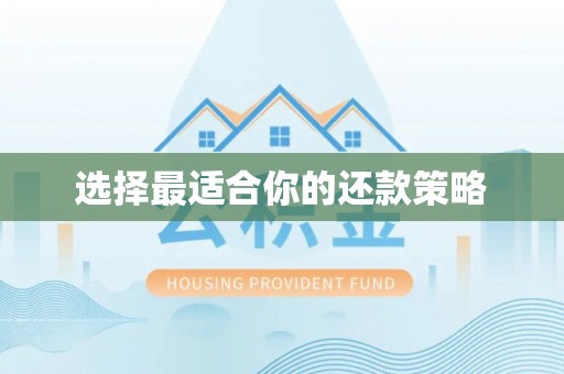 湛江选择最适合你的还款策略
