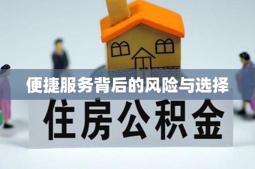 湛江便捷服务背后的风险与选择