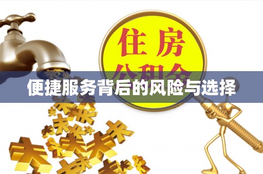 湛江便捷服务背后的风险与选择