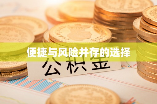 湛江便捷与风险并存的选择