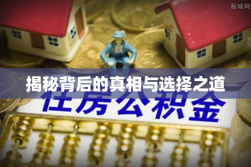 湛江揭秘背后的真相与选择之道