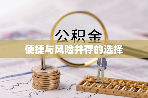 湛江便捷与风险并存的选择