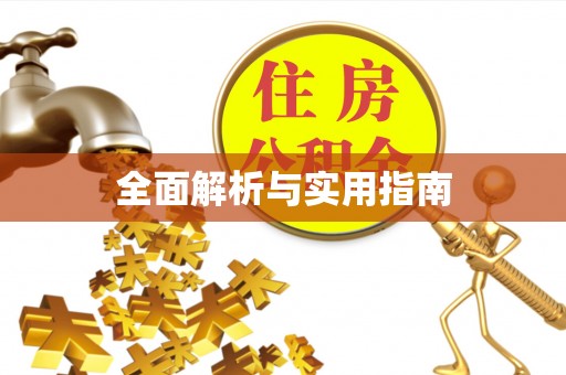 湛江全面解析与实用指南