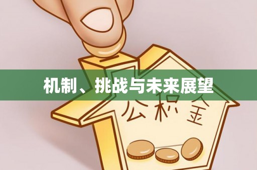 湛江机制、挑战与未来展望